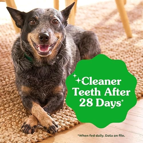 Greenies Veterinarian-Recommended Adult Natural Dental Dog Treats Petite Size, Dog Dental Chews, Original Flavor, 3 oz. Pack, 5 Count — view 4