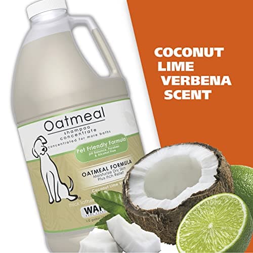 Wahl USA Dry Skin & Itch Relief Pet Shampoo for Dogs – Oatmeal Formula with Coconut Lime Verbena Scent - 64 Oz - Model 821004-050 — view 4