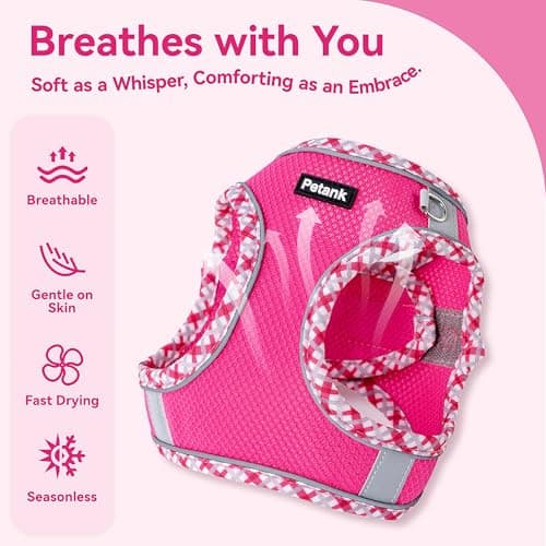 Petank Dog Harness for Small Medium Dogs No Pull, Puppy Harness and Leash Set for Walking, Running, Training, Small Dog Harness, Medium Dog Harness (Rose Red, XXS) — view 2
