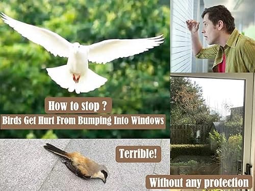 KOCOVIMI 37Pcs Anti-Collision Window Stickers for Birds - Window Decals to Prevent Bird Strikes and Save Birds' Precious Lives — view 2
