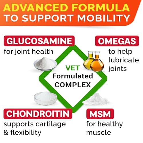 Senior Advanced Glucosamine for Dogs - Small + Large Breeds -Omega-3 Fish Oil - Chondroitin, MSM- Soft Chews for Older Dogs - Bacon Flavor - 120Ct — view 5