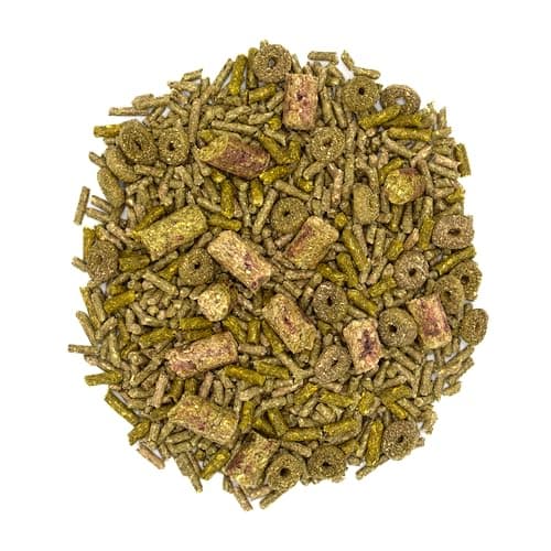 Oxbow Forage Wise Adult Rabbit Food, Engaging Variety Diet with Complete Nutrition in Every Piece, Timothy Hay Based Rabbit Food with Variety, 4 lb Bag — view 5