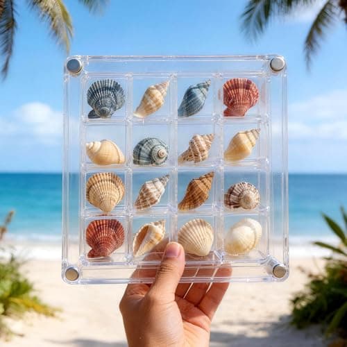 2 Pack Beach Sand Sifter with Seashell Bags & Shell Display Case, Beach Toys for Kids Beach Seashell Collecting, Seashell Beach Shovels for Boys and Girls — view 2