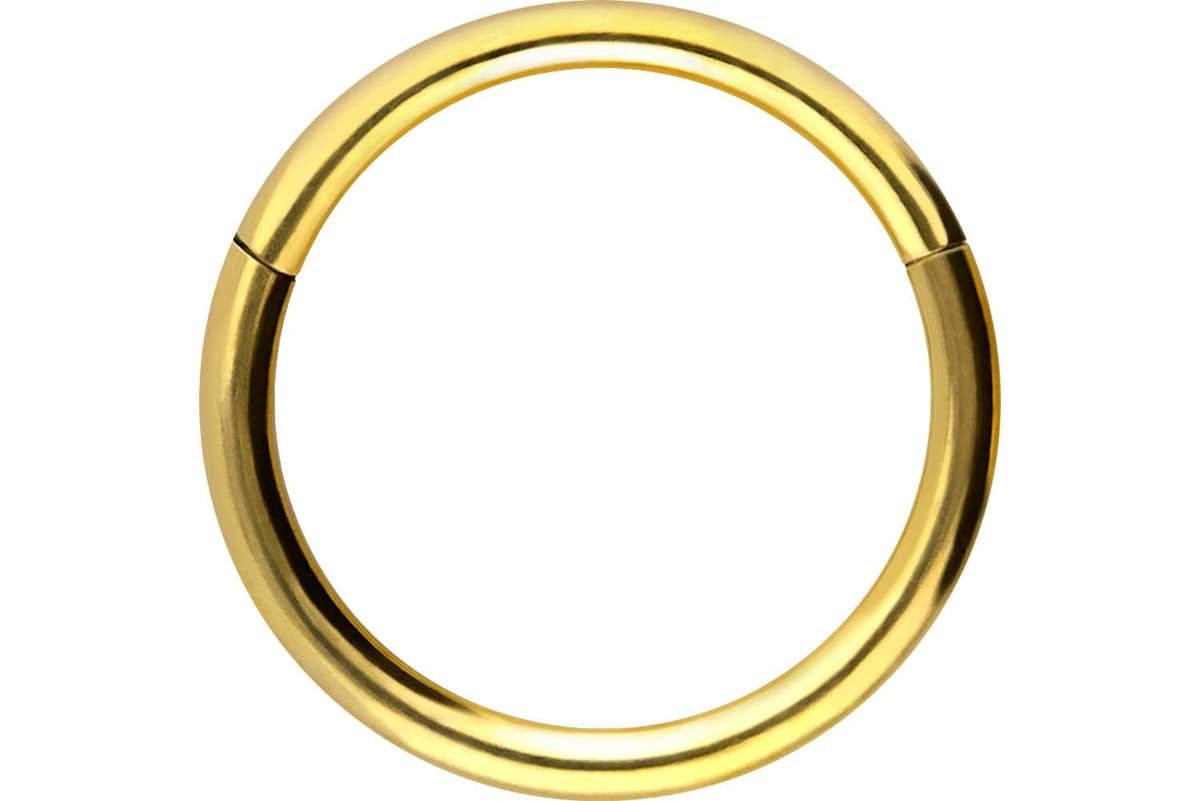 PIERCINGLINE Anillo segmento Clicker de acero quirúrgico – Piercing en oro, plata, rosa, negro o azul – para nariz, tabique, oreja, hélice o tragus — view 65