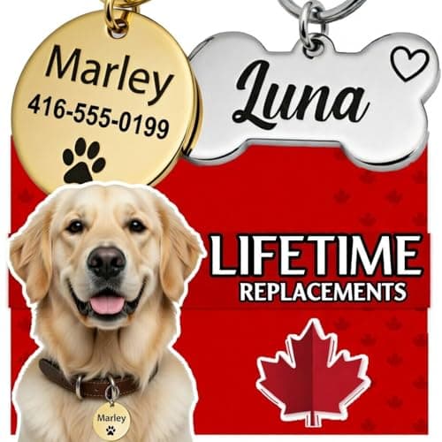 UNIIKA Dog Tags Personalized (Canada Lifetime Replacements) Deep Engraved on Both Side (3 Size Available) - Médaille Custom Pour Chiens et Chats Personnalisée (Small, Gold)
