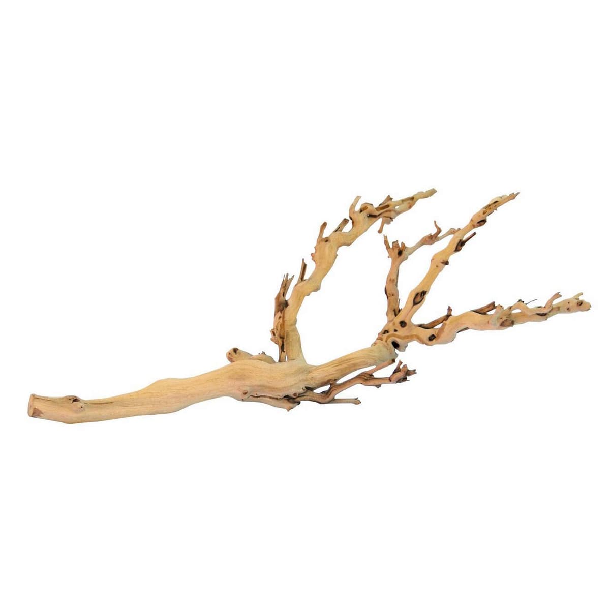 Exo Terra Forest Branch, Small (Exact Size May Vary) — view 3