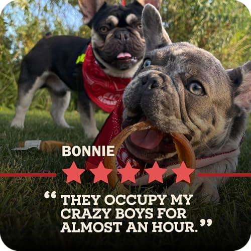 Redbarn Pet Products 12" Braided Bully Sticks for Dogs 2-Count, Pack of 12 — view 11