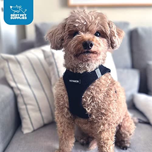 Best Pet Supplies Voyager Step-in Air Harness - All Weather Mesh, Reflective, No Pull Harness for Dogs, Cats - Secure with Hook & Loop Fastener, Buckle, Double D-Rings - Black, S — view 10