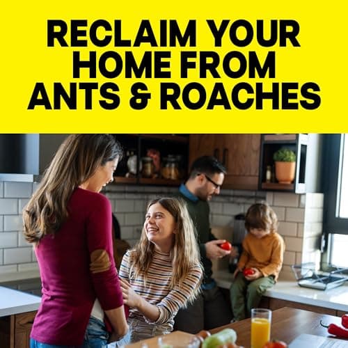 Raid Ant & Roach Killer, Fragrance Free Bug Killer for Home Use, Kills Bugs on Contact, 17.5oz — view 3