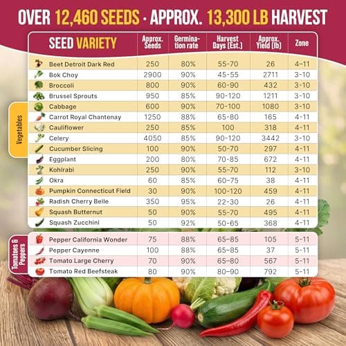 20 Vegetable Seeds Variety Pack - 12,465+ Non-GMO Heirloom Seeds for Planting Vegetables and Fruits in Individual Seed Packets, Home Garden Seed for Hydroponic, Indoor and Outdoors Gardening — view 3