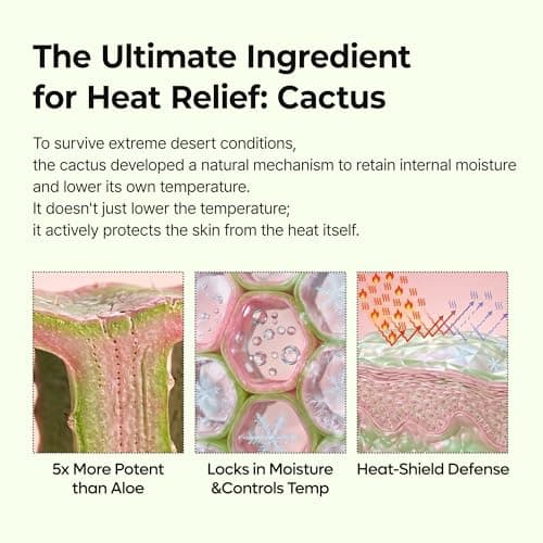 Dr.Melaxin Cactox Pore Relief Multi Balm Stick – Zinc PCA & ADENOSINE Cooling & De-Puffing Face Balm for Enlarged Pores & Puffy Skin, Pore Minimizing with Cactus Extract, Korean Skincare, 0.88 oz — view 4