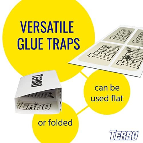 TERRO T3206CAN 4-Pack Spider & Insect Trap — view 5