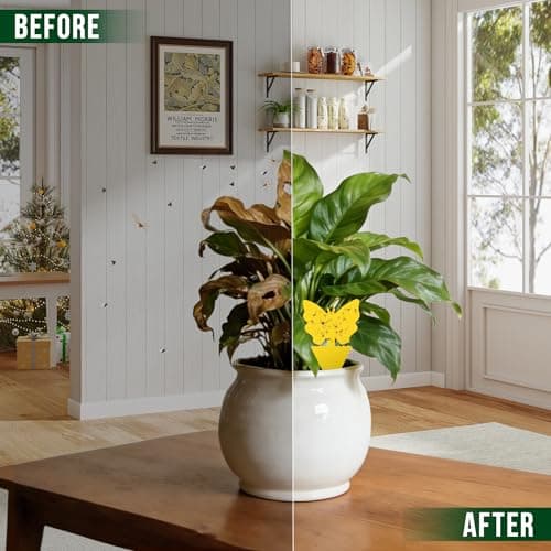 Garsum Fruit Fly Trap Indoor and Outdoor, 36 Pack Gnat Sticky Traps for House Plants, Flying Insect Trap for Fungus Gnat,Mosquitos, White Flies