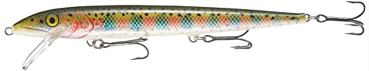 Rapala - Cebo de pesca de superficie para pesca de bass, 4 3/8", madera, punta de aguja, azul y negro — view 16