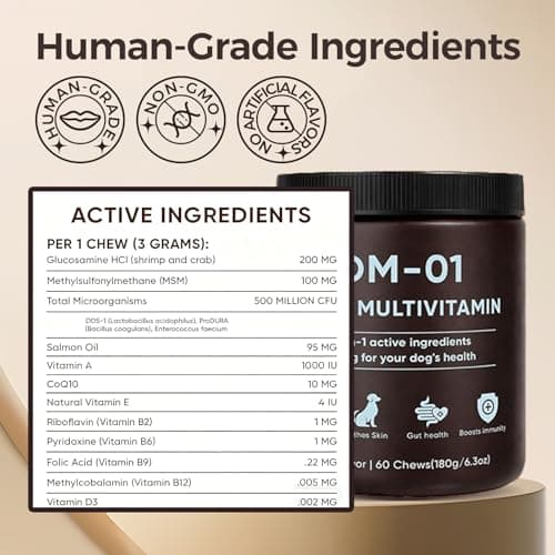 DM-01 Daily Multivitamin for Dogs, Multivitamin Itch Relief Chews Contain Glucosamine Probiotics Salmon Oil for Skin Coat, Gut & Immune Supports, 60 Chews (1) — view 3