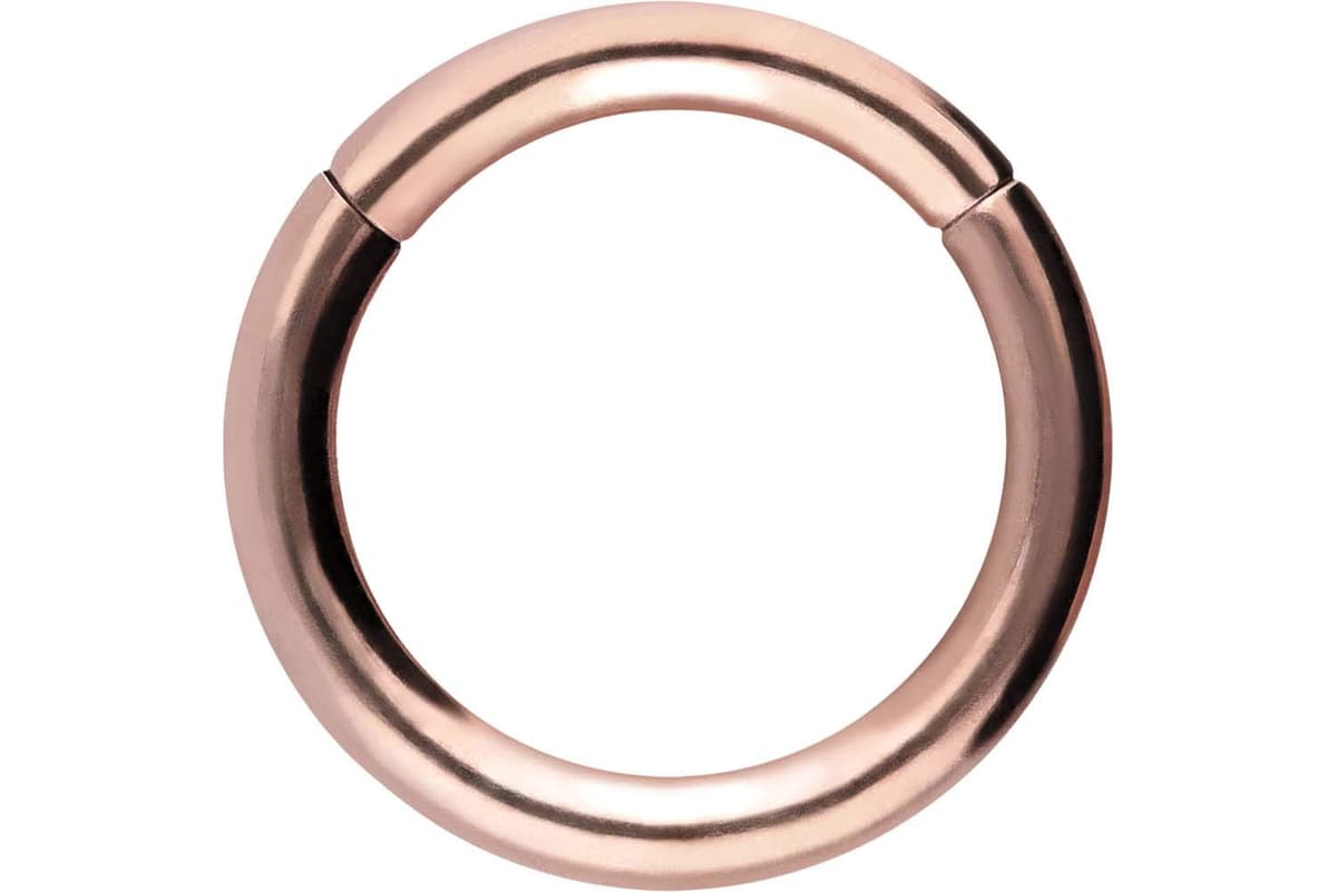 PIERCINGLINE Anillo segmento Clicker de acero quirúrgico – Piercing en oro, plata, rosa, negro o azul – para nariz, tabique, oreja, hélice o tragus