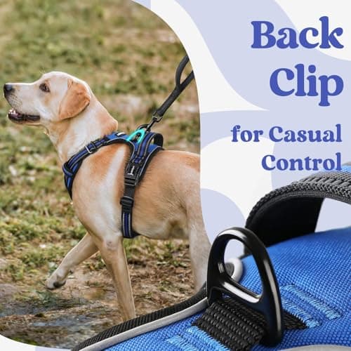 rabbitgoo Dog Harness Medium Breed, No Pull Pet Harness with 3 Buckles, Adjustable Soft Padded Dog Vest with Instant Control Handle, Easy Walking Reflective Pet Vest, Blue, M — view 5