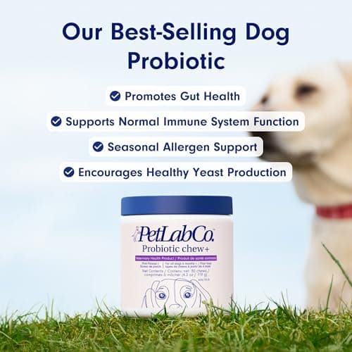 PetLab Co. Probiotics for Dogs - Support Gut Health, Itchy Skin, Seasonal Allergies, and Yeast with Each Tasty Chew - Dog Probiotics - Safe for Small, Medium and Large Dogs - Packaging May Vary — view 2