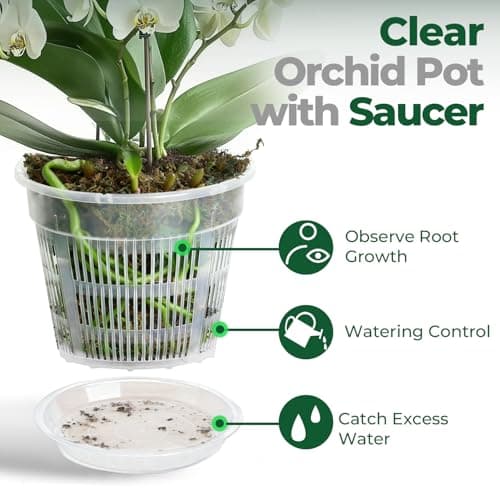 T4U Orchid Pots, 4.3 Inch 6 Pack Plastic Nursery Pots with Holes and Saucers, Slotted Breathable Planter for Orchid Lovers, Indoor Windowsill Decor for Phalaenopsis and Cattleya — view 5