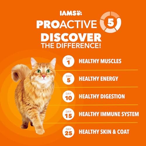 IAMS Proactive Health Dry Cat Food, Healthy Cat Food Dry Recipe for Adults, with Chicken 3.5 lb. Bag — view 2