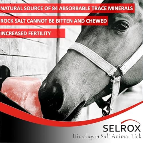 Selrox Himalayan Salt Animal Lick, 100% Pure Rock Salt, for Horses, Cattle, Goats, Sheep, Deer, 80+ Minerals, Supports Digestion and Immune Function — view 5