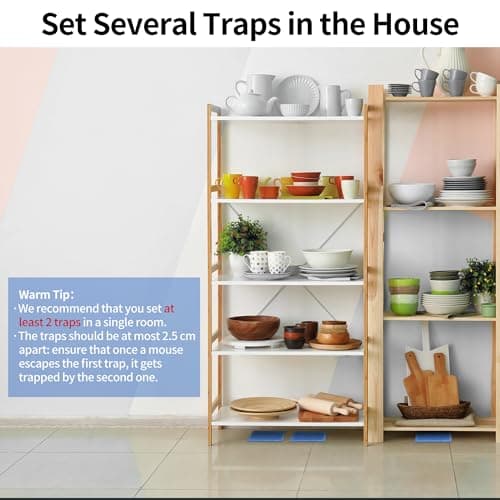 LULUCATCH Mouse & Insect Traps 12 Pack, Heavier Sticky Traps with Non-Toxic Glue for Small Mice & Insects. Sticky Mouse Traps Indoor for Home, Easy to Set — view 6