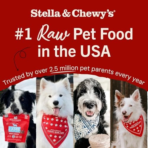 Stella & Chewy's Freeze-Dried Raw Beef Heart Dog Treats - Single Ingredient, No Additives - Premium Training Treats - Perfect For Picky Eaters - 3oz Bag — view 5