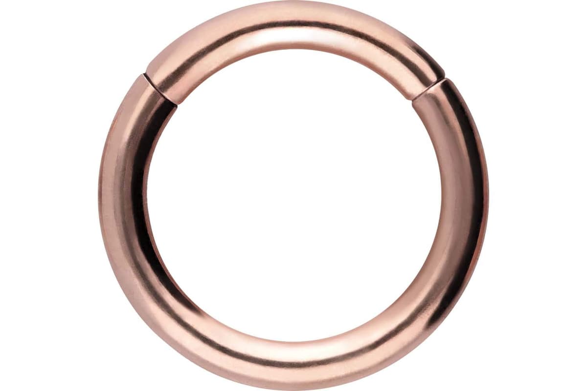 PIERCINGLINE Anillo segmento Clicker de acero quirúrgico – Piercing en oro, plata, rosa, negro o azul – para nariz, tabique, oreja, hélice o tragus — view 45