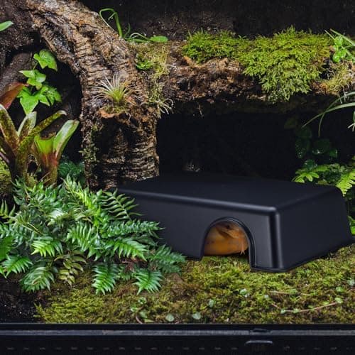 Toddmomy Reptile Hide Box - Reptile Hideouts Snake Hiding Shelter, Provides Security and Safety, Easy to Clean, for Snakes Lizards Amphibians, 9.4" x 6.8" x 2.4" — view 2