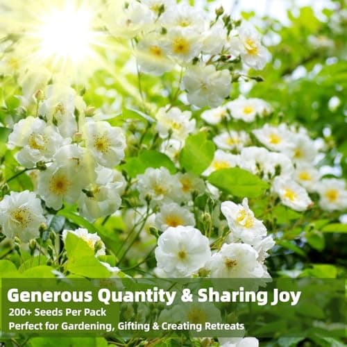 200+ Climbing Jasmine Flower Seeds for Planting, Easy to Grow, Non-GMO, High Germination Fragrant Flowers for Home Garden, Balcony, Trellis, Fence, Vertical Garden Decor, 200pcs — view 2