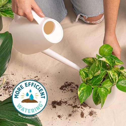 Back to the Roots 100% Organic Indoor Potting Mix (6 Quart), Promotes Healthy Houseplant Growth, Made in The USA — view 4