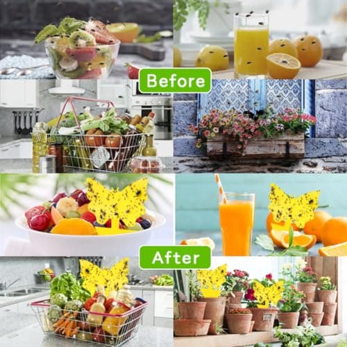 Fruit Fly Traps Fungus Gnat Traps Yellow Sticky Bug Traps 40 Pack No Harm and Odorless for Indoor Outdoor Use Protect The Plant — view 5