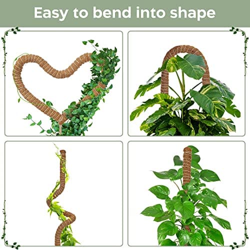 K-Brands 2 Pack 28 Inches Bendable Moss Pole Monstera Plant Support for Climbing Indoor Plants - Stakes for Potted Climbers - Tall Sticks Indoor Trellis for Houseplants - Accessories for Monstera Pot — view 5