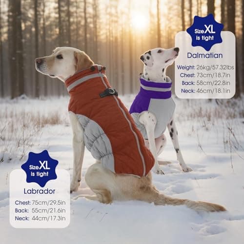 FUAMEY Dog Coat for Medium Dogs,Waterproof Dog Winter Jacket with Harness Built in Puppy Cold Weather Coats Reflective Pet Vest with Zipper Warm Fleece Dogs Snowsuit Windproof Purple M — view 5