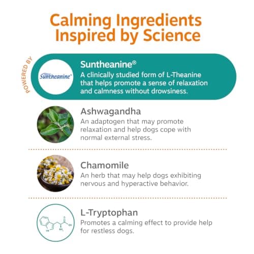 Zesty Paws Calming Chews for Dogs Composure & Relaxation for Everyday Stress & Separation Peanut Butter 90 Count — view 5