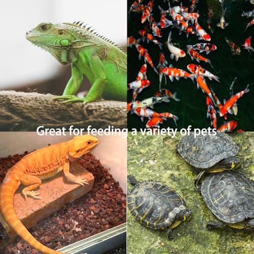 2 Piece Stainless Steel Reptile Feeding Tongs with Rubber Tips, 9.8" Straight Tweezers and Curved Tweezers - Bearded Dragon and Lizard Feeding Tools - Terrarium Supplies — view 3