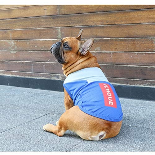 iChoue French Bulldog Summer Cooling Shirt for Dogs UV Sun Protection Vest Sleeveless Stretchy Tank Top English Pug Grey Blue - Large — view 3