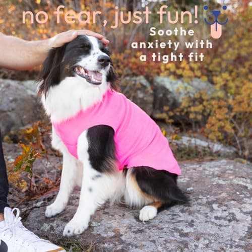 Goldpaw Stretch Fleece Dog Sweater - with Spandex for 4-Way Stretch - Soft, Comfortable Dog Coat - Machine Washable - Made in the USA - Paprika - Size 12 — view 4
