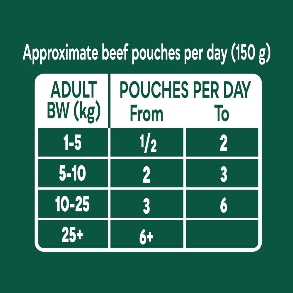 Country Hunter Natures Menu Natures Menu Superfood Selection Pouches for Dogs (12x 150 g) — view 4