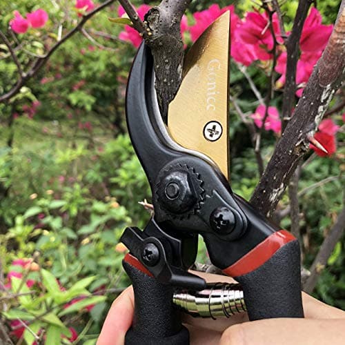 gonicc 8" Professional Premium Titanium Bypass Pruning Shears (GPPS-1003), Hand Pruners, Garden Clippers, Bonsai Cutters — view 4