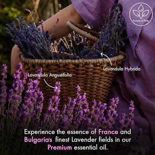 Majestic Pure Lavender Essential Oil - Huge 118 ml - 100% Pure and Natural Oil for Soap Making Scent- Premium Grade with Glass Dropper — view 2