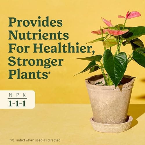 Miracle-Gro Indoor Plant Food for All Plants, 8 fl. oz. (2-Pack) — view 3