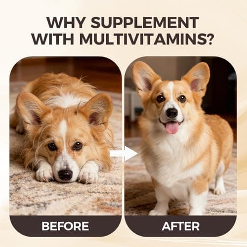 DM-01 Daily Multivitamin for Dogs, Multivitamin Itch Relief Chews Contain Glucosamine Probiotics Salmon Oil for Skin Coat, Gut & Immune Supports, 60 Chews (1) — view 5