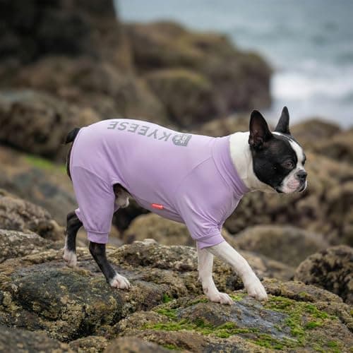 KYEESE UV Protection Dog Shirt, UPF 50+ Cooling Summer Jumpsuit for Small Dogs, Breathable Reflective Shedding Control Dog Sun Shirts, Quick-Dry Dogs Onesie Pet Clothes, Purple, M — view 6