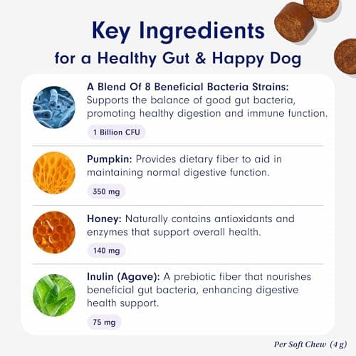 PetLab Co. Probiotics for Dogs - Support Gut Health, Itchy Skin, Seasonal Allergies, and Yeast with Each Tasty Chew - Dog Probiotics - Safe for Small, Medium and Large Dogs - Packaging May Vary — view 3