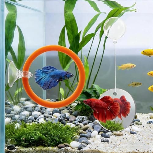 Betta Fish Toys & Accessories Set, Includes Floating Mirror with Ball, 2 Training Rings & Suction Cups for Betta Fish Aquariums (Orange) — view 2