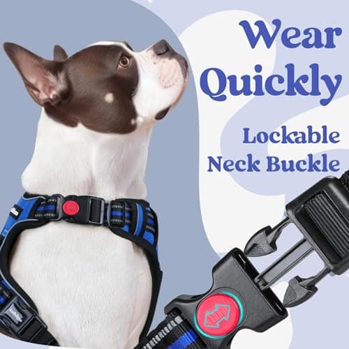 rabbitgoo Dog Harness Medium Breed, No Pull Pet Harness with 3 Buckles, Adjustable Soft Padded Dog Vest with Instant Control Handle, Easy Walking Reflective Pet Vest, Blue, M — view 2