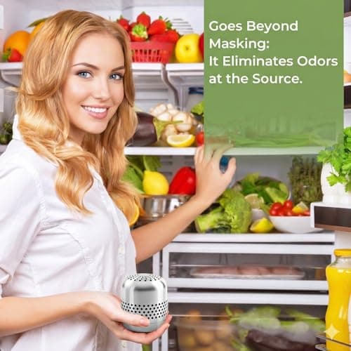 Hoopmon Fridge Deodorizer Lasts 10 Years, Long-Lasting Refrigerator Deodorizer Odor Eliminator, More Effective Than Baking Soda & Charcoal Bags, Air Purifier for Car & Closet (Stainless Steel, 1 Pack) — view 2