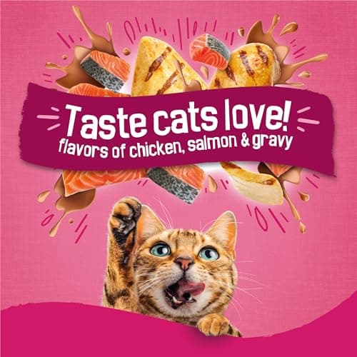 Purina Friskies Gravy Swirlers with Flavors of Chicken, Salmon and Gravy Dry Cat Food - 22 lb. Bag — view 2