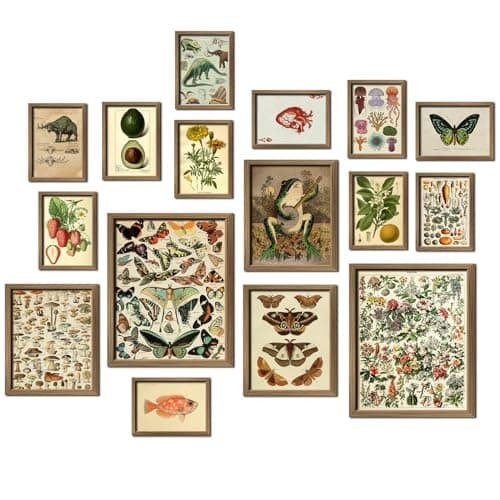 ANERZA 16 PCS Vintage Wall Art Decor, Botanical Cottagecore Wall Collage Kit for Bedroom, Farmhouse Posters for Room Aesthetic, Wall Prints Pictures for Living Room, Rustic Dorm Gallery Home Decor